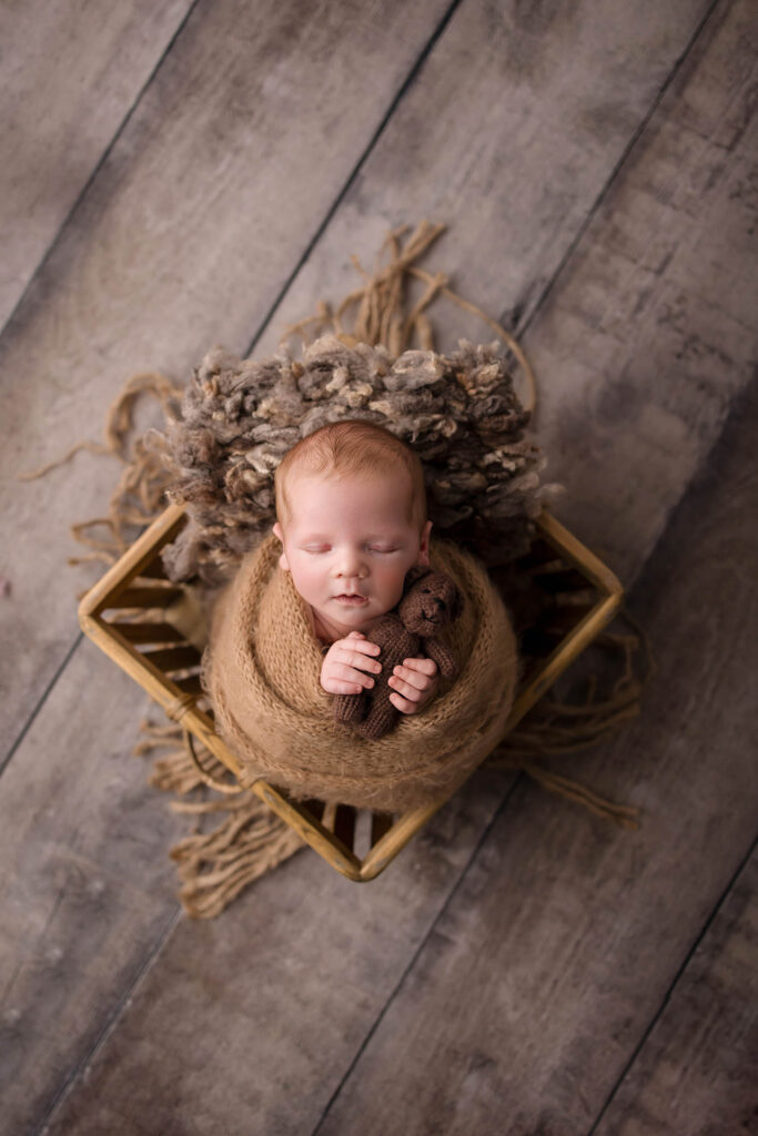 Newborn swaddled in brown blanket, holding stuffed animal in basket on wooden floor.